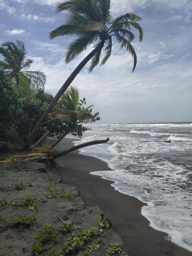 Budda Home Tortuguero Εξωτερικό φωτογραφία