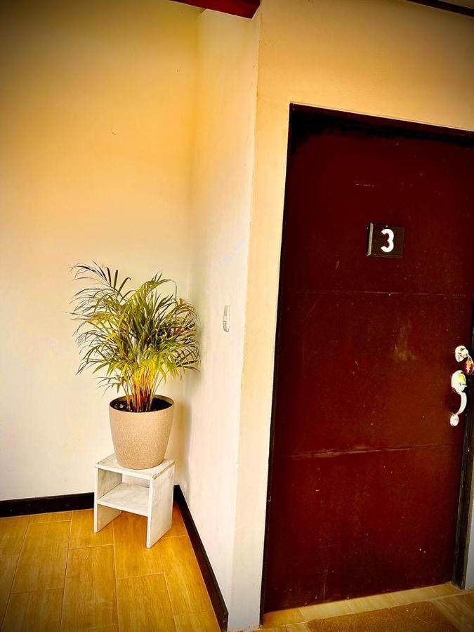 Budda Home Tortuguero Εξωτερικό φωτογραφία